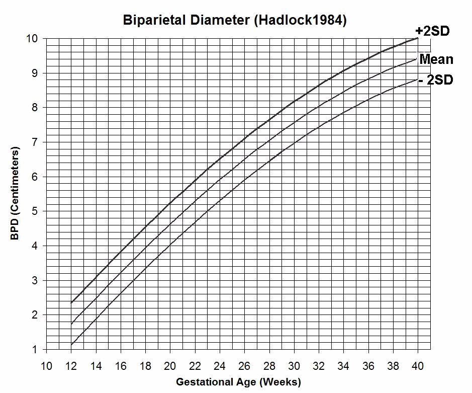 Fetal Weight Percentile Chart A Visual Reference Of Charts Chart Master