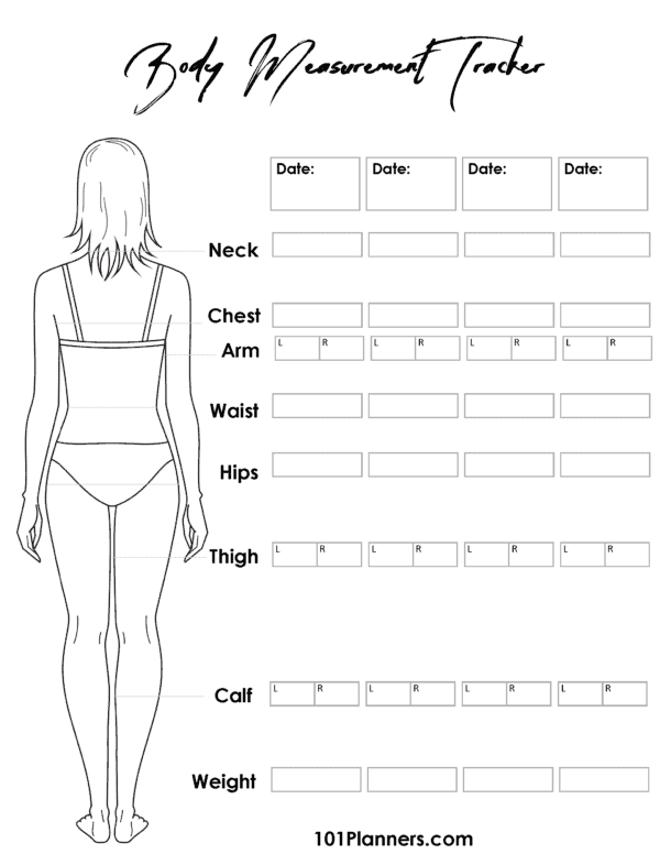 FREE Body Measurement Chart Printable Or Online