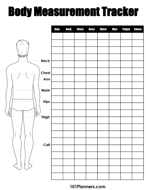 FREE Body Measurement Chart Printable Or Online