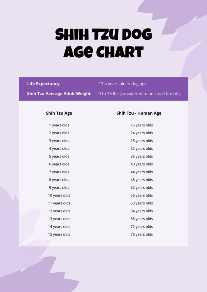 FREE Dog Age Chart Template Download In Word PDF 56 OFF