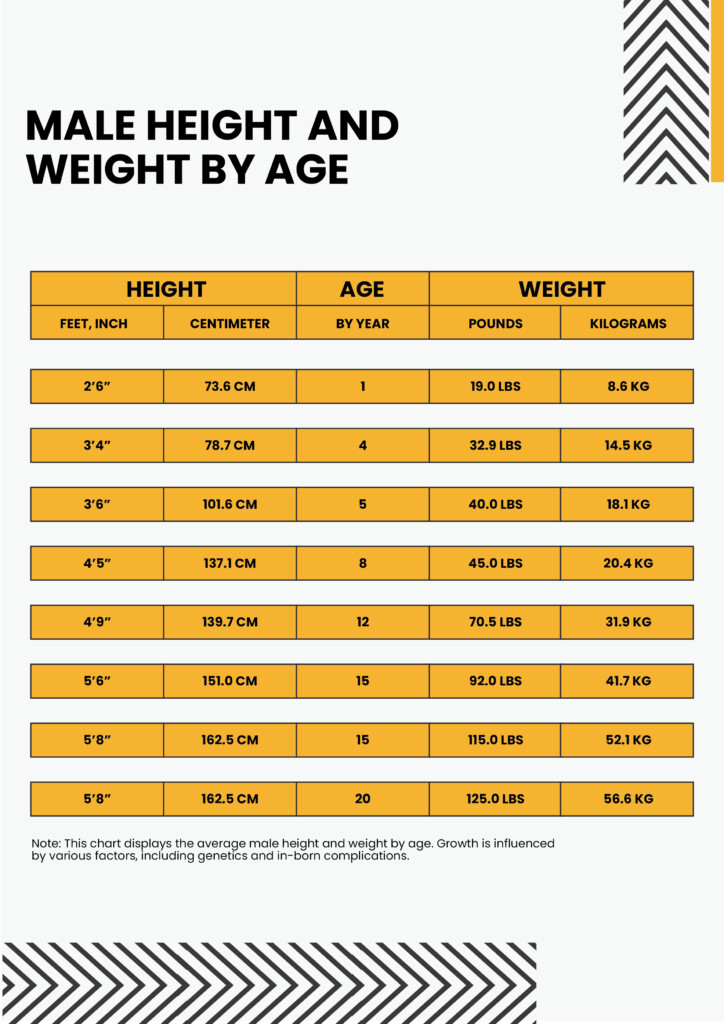 Free Height And Weight Chart Male Download In PDF Template