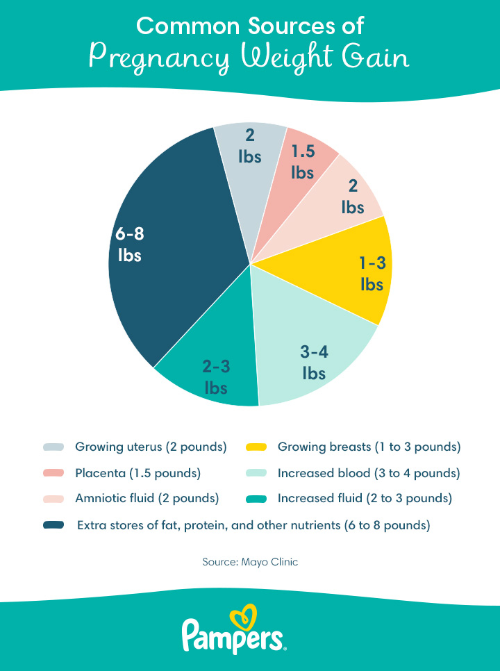 Free Week By Week Pregnancy Weight Gain Chart Download In 57 OFF