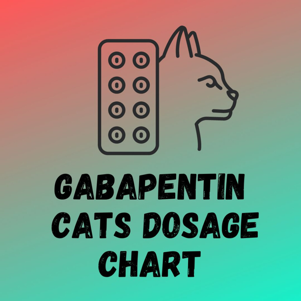 Gabapentin For Cats Dosage Chart Uses Side Effects