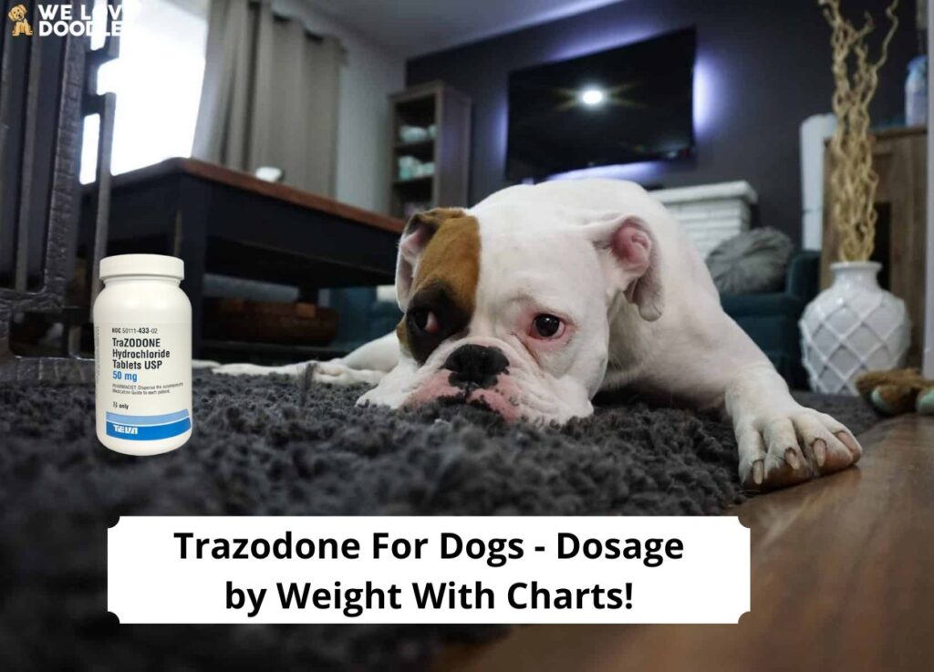 Gabapentin For Dogs Dosage By Weight Chart Calculator Gabape