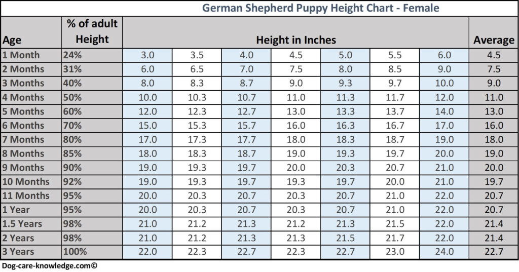 German Shepherd Puppy Weight Chart Month By Month Growth