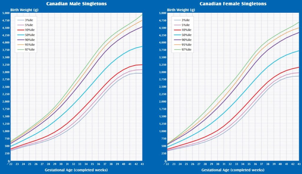 Gestational Age Weight Chart Male