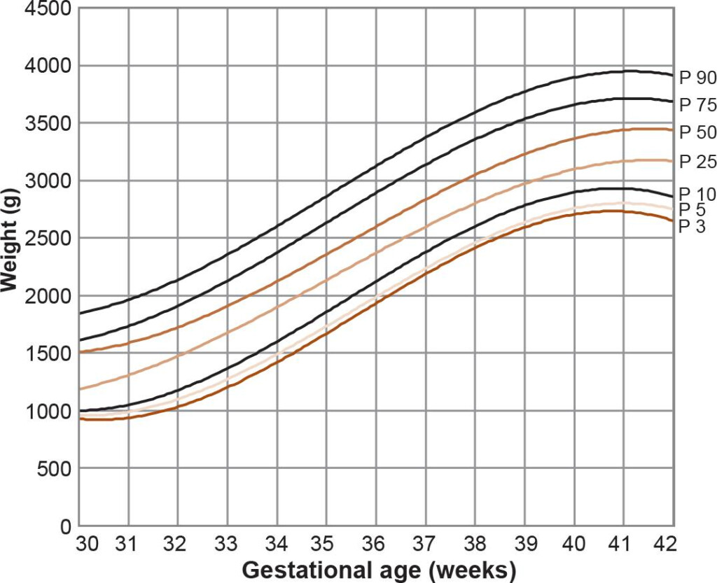 Gestational Age Weight Percentile Chart A Visual Reference Of Charts 