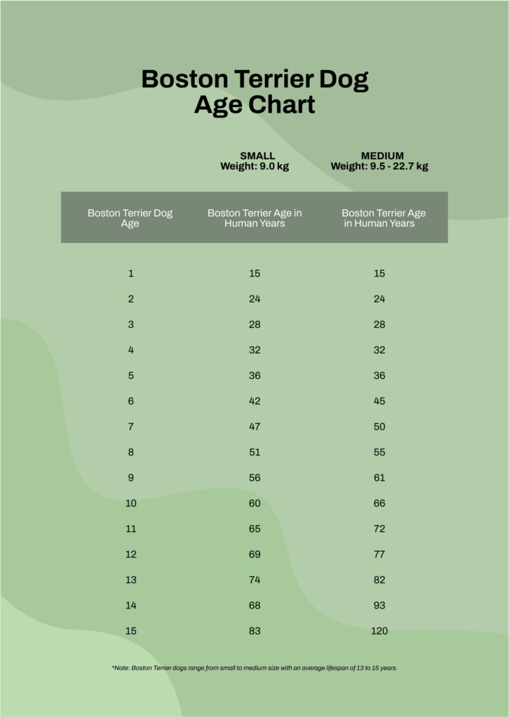 Great Pyrenees Puppy Feeding Chart By Age And Weight Free Printable 