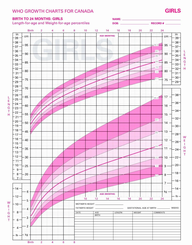 Growth And Height Chart Baby Height Growth Chart Hanging Rulers Kids 