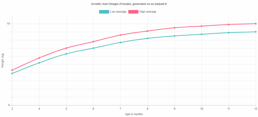 Growth Beagle Puppy Weight Chart Beagle