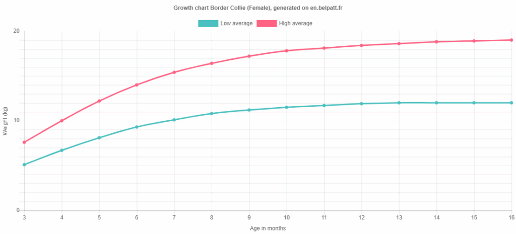 Growth Border Collie Puppy Weight Chart Border Collie