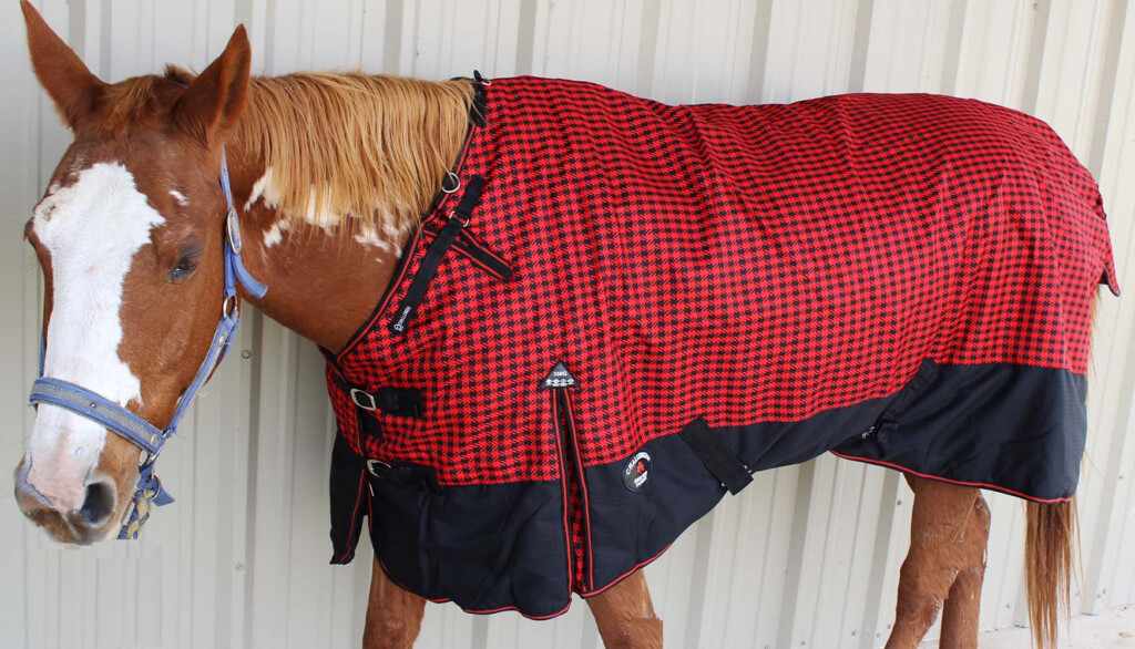 Horse Blanket Weight Chart At Faye Johnson Blog