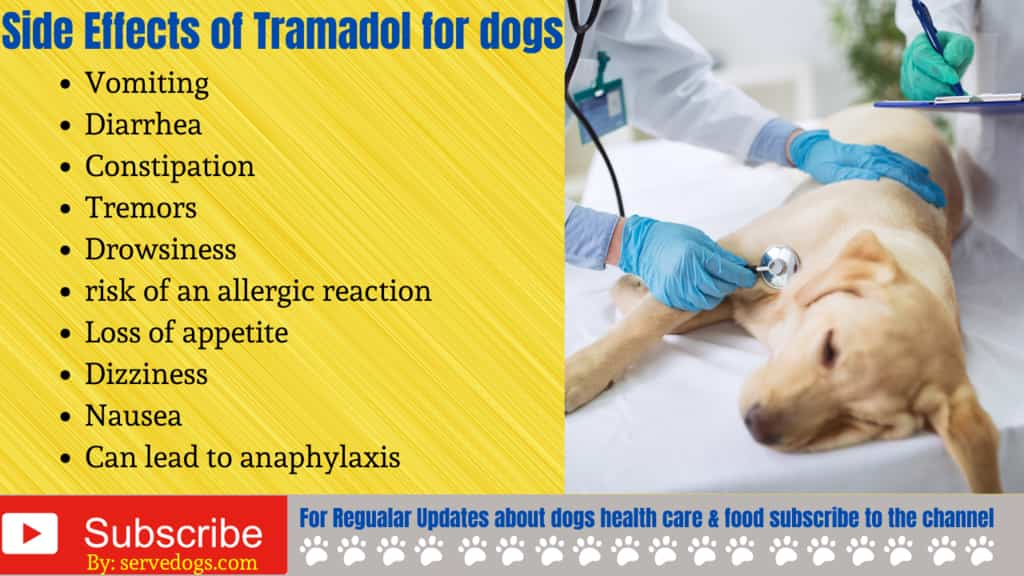 How Much Tramadol For Dogs Dosage Chart By Weight