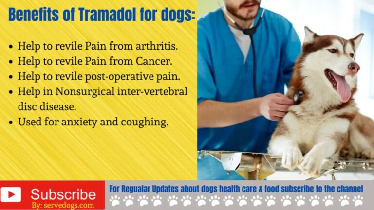 How Much Tramadol For Dogs Dosage Chart By Weight