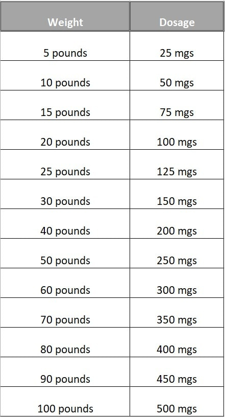 Human Amoxicillin For Dogs Dosage What You Need To Know 