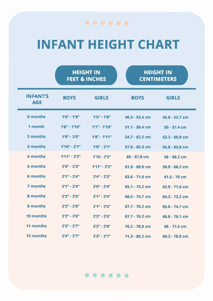 Infant Height Chart In PDF Download Template
