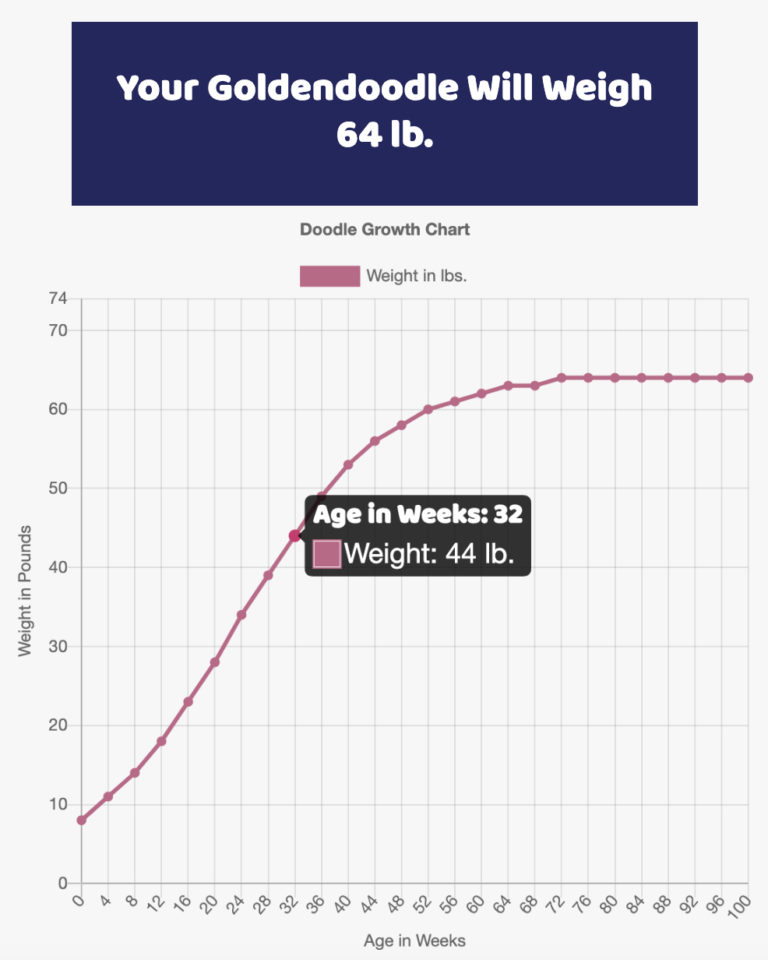 Interactive Staffordshire Bull Terrier Growth Chart And Calculator 