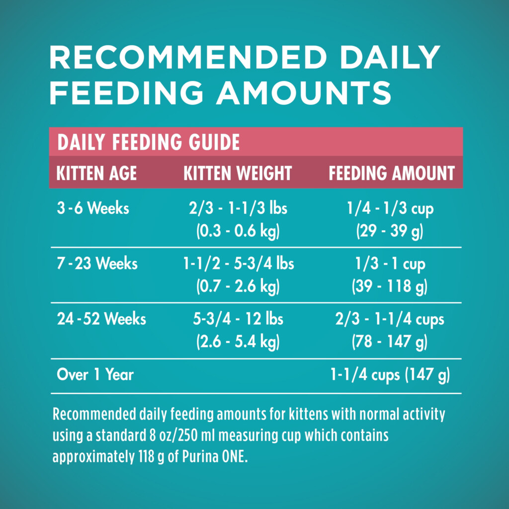 Kitten Age Weight Chart