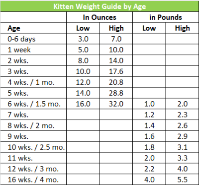 Kitten Weight Chart By Age