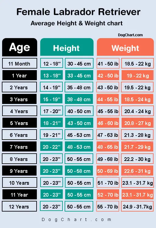Lab Height Weight Chart In Kg Ib Cm Inches