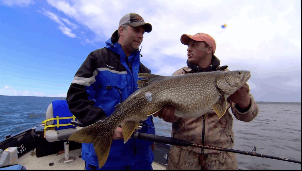 Lake Trout Length To Weight Conversion Chart In Fisherman