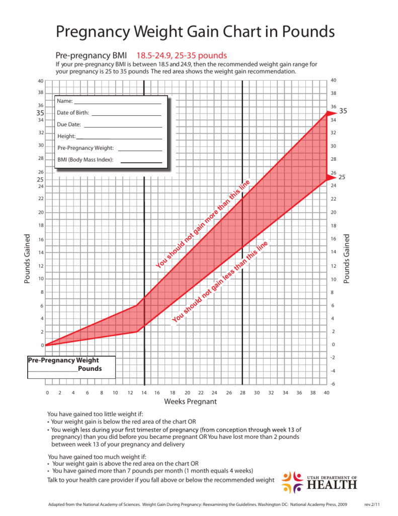Normal Pregnancy Weight Gain Chart
