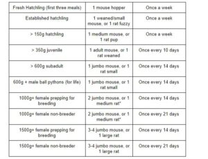 Northwest Reptiles Ball Python Feeding Chart Northwest Reptiles 