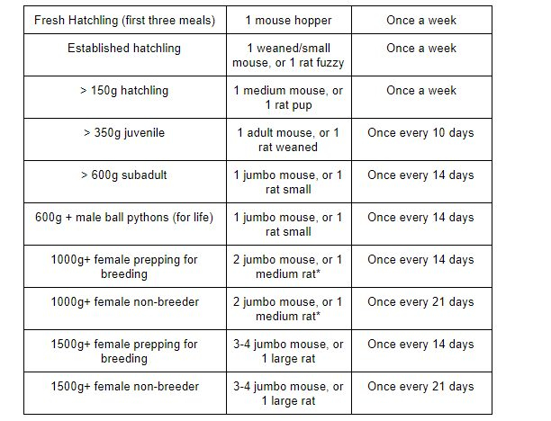 Northwest Reptiles Ball Python Feeding Chart Northwest Reptiles 