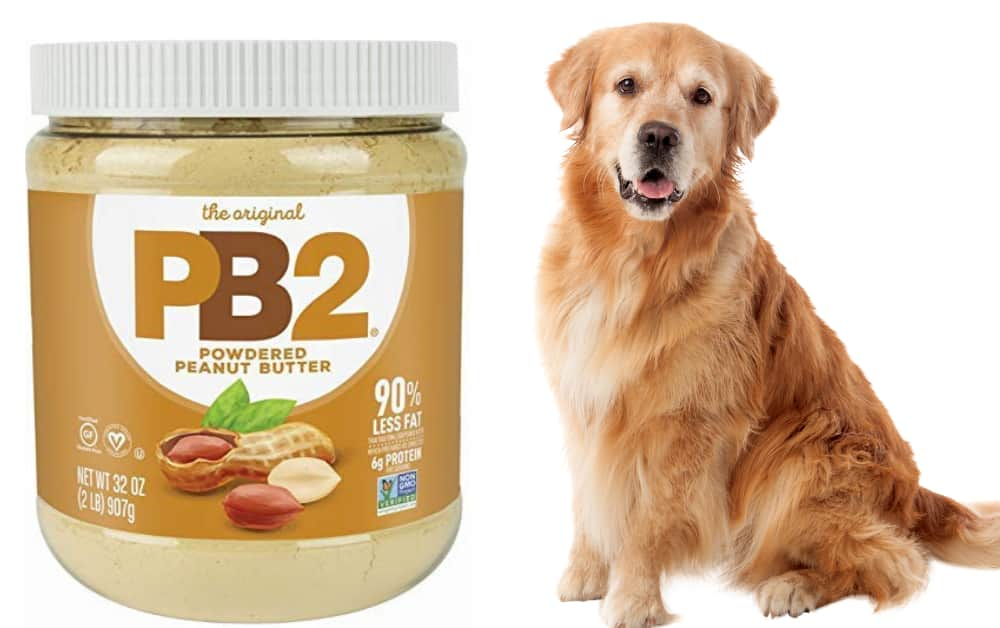 Omeprazole For Dogs Weight Based Dosage Chart Guidelines