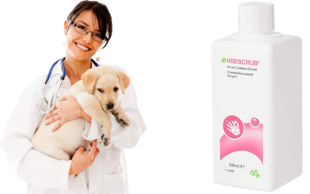 Omeprazole For Dogs Weight Based Dosage Chart Guidelines