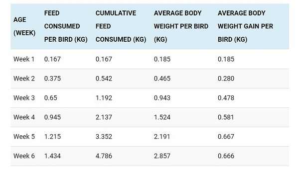  PDF Broiler Feeding Guide Growth Weight Chart Livestocking