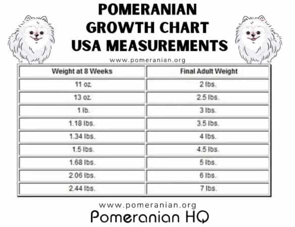 Pomeranian Weight Chart Puppy Growth Chart Details