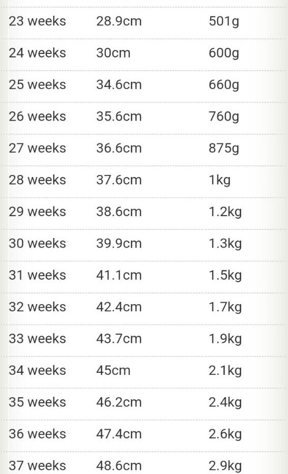 Pregnancy Week Chart