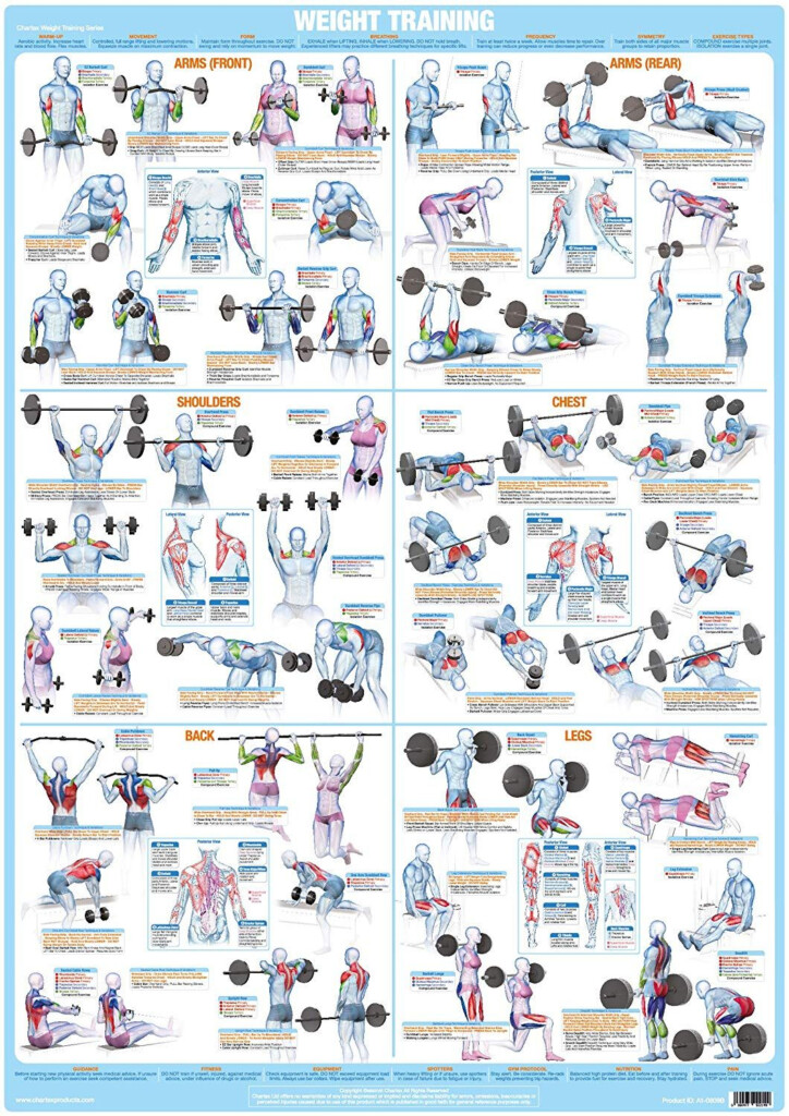 Printable Weight Lifting Chart