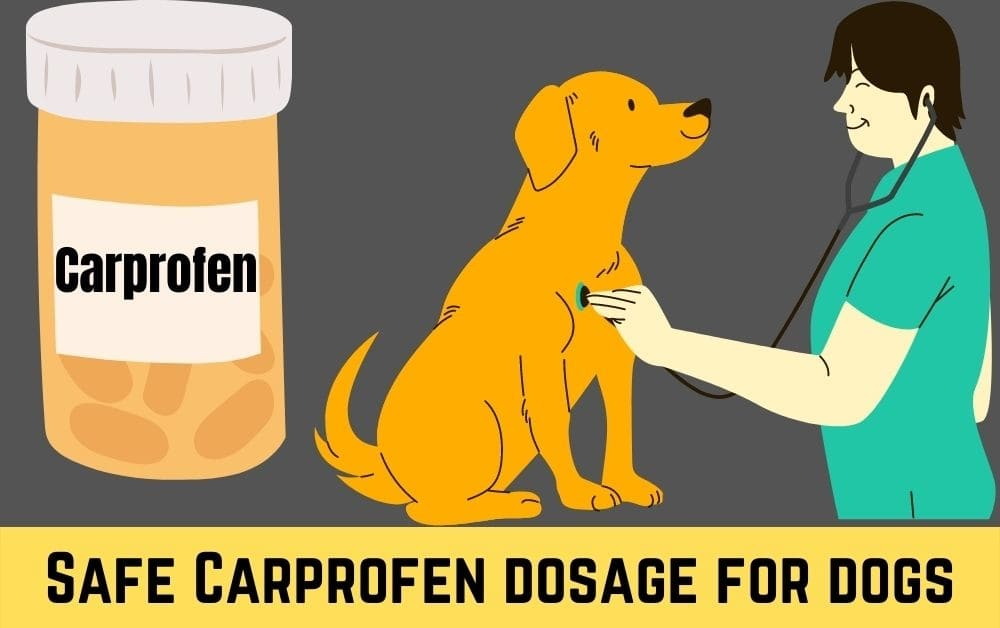 Safe Carprofen Dosage For Dogs Dosage Chart By Weight Serve Dogs