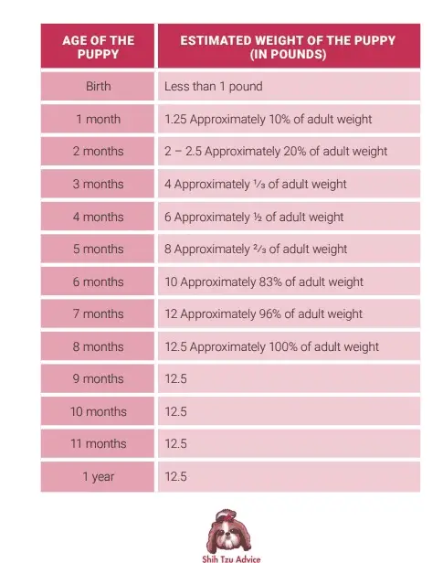 Shih Tzu Growth And Weight Chart PDF