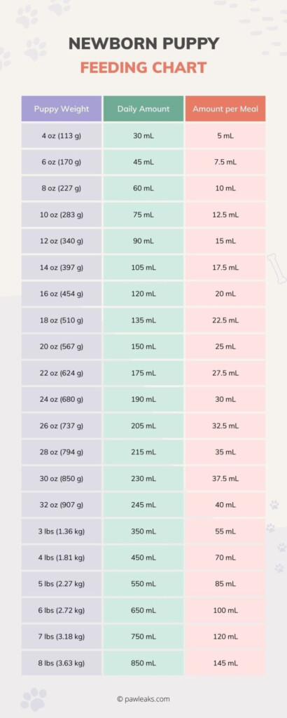 Simple Newborn Puppy Feeding Chart Bottle Feeding Chart For Pups 