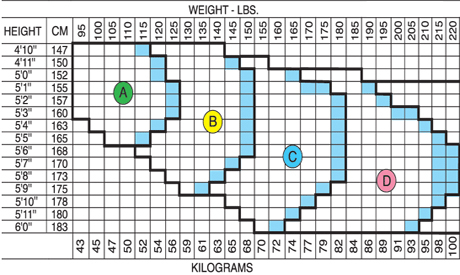 Spanx Size Chart Amulette