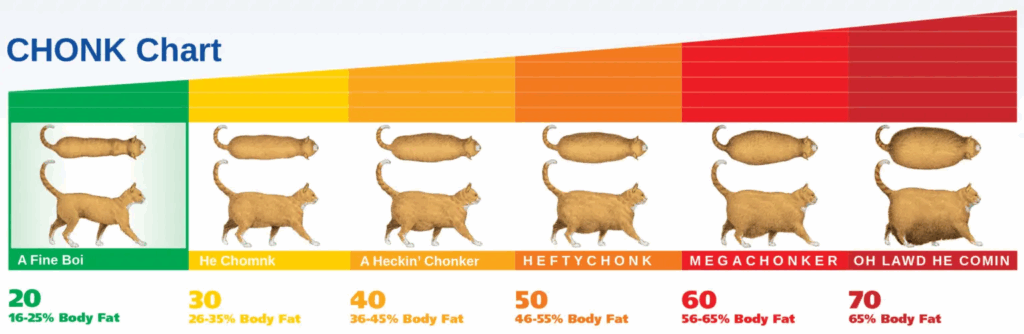 The CHONK Chart For Cats Is The Defining Tool Of A Cats CHONK Level 