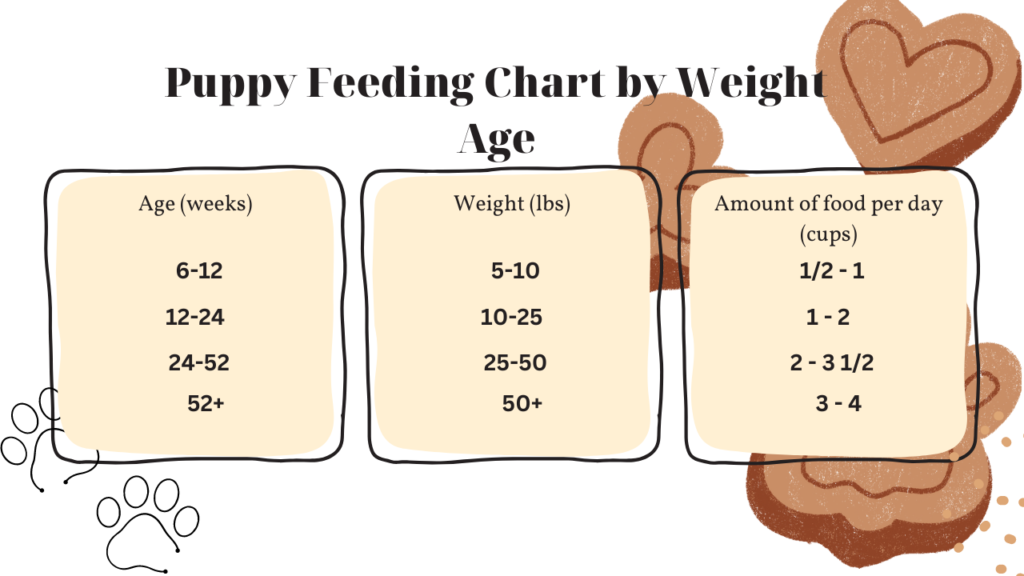 The Ultimate Puppy Feeding Chart By Weight Age