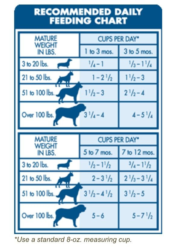 Top French Bulldog Puppy Feeding Chart By Weight Age In The World Check 