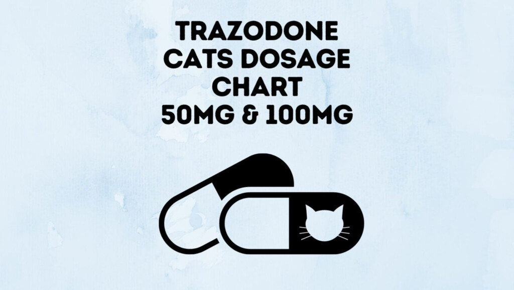 Trazodone Cats Dosage Chart 50mg And 100mg Vet Suggested 