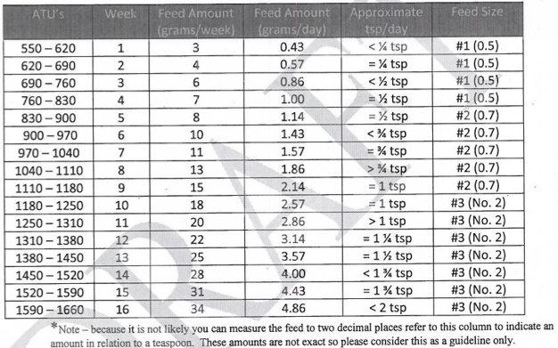 Trout Feeding Chart Rainbow Trout At Cranston
