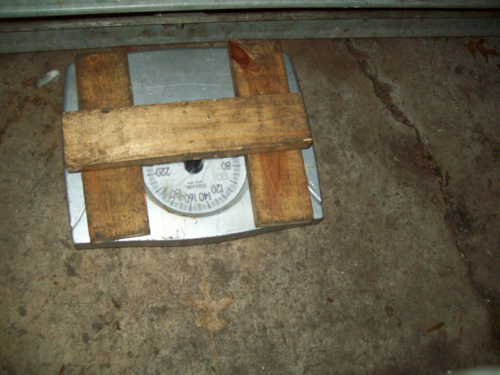 Wayne Dalton 9005 Garage Door Weight My Bios