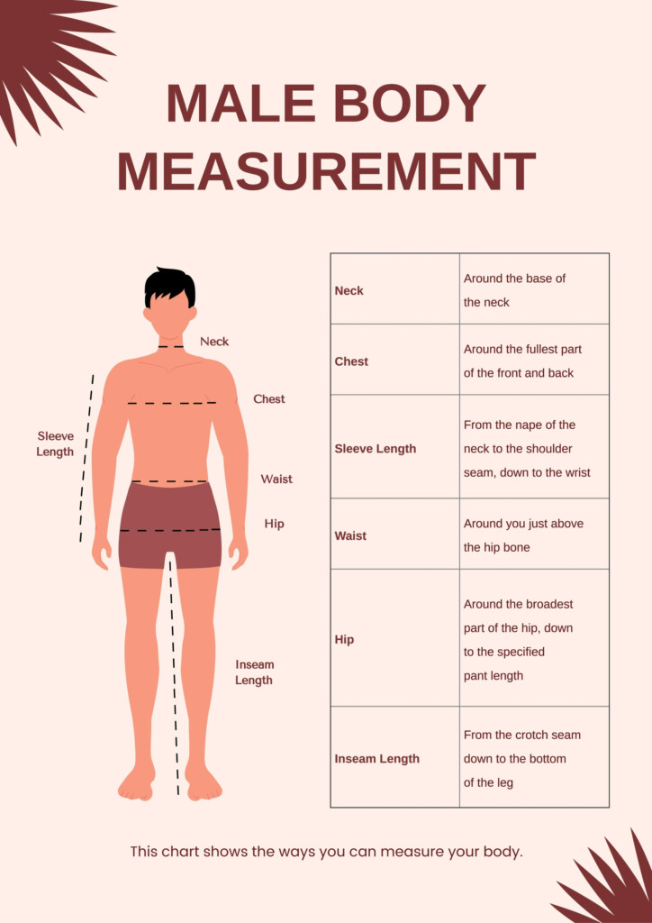 Weight Body Measurement Chart In Illustrator PDF Download 