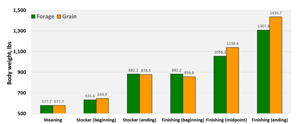 Weight Chart For Beef Cattle