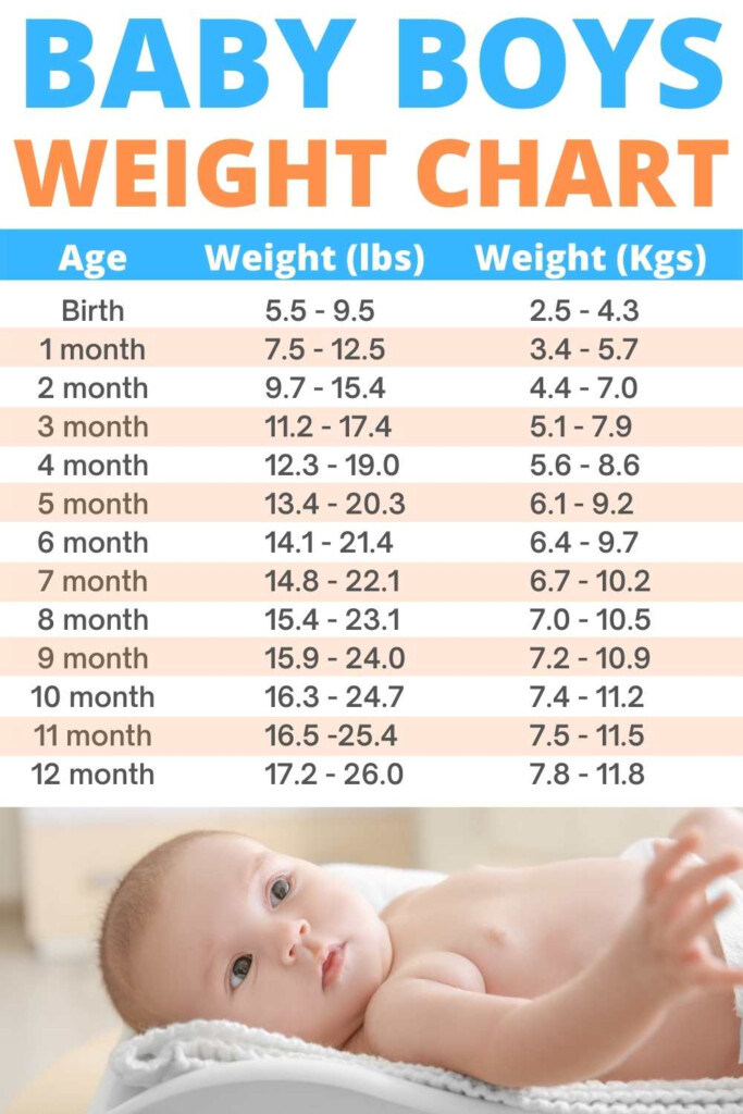 Weight Chart For Infant Baby Growth Chart With Automated Plotter Excel 