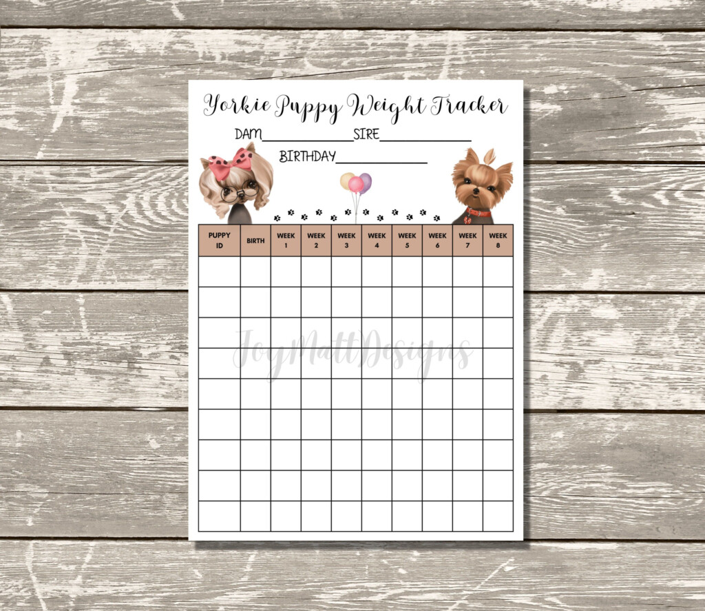 Yorkie Puppy Weight Tracker Growth Charts Puppy Weight Tracker 