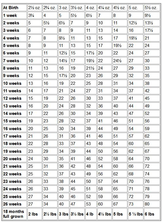 Yorkie Weight Chart Calculator CALCULATOR GHW